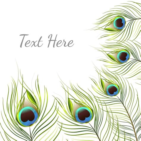 Beautiful vector peacock feathers — Stock Vector © juliet #17271917