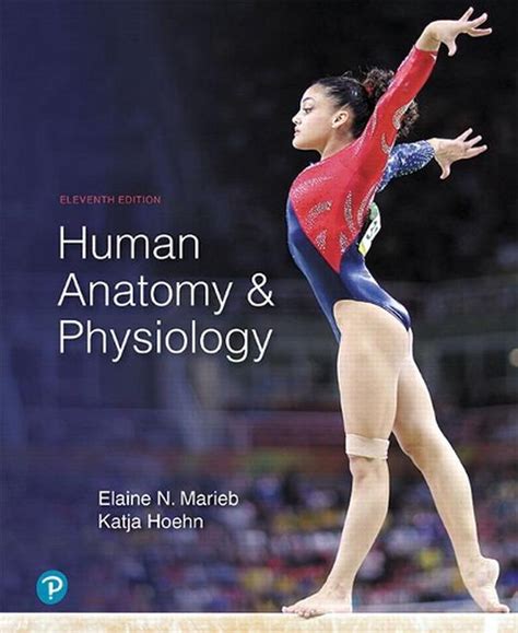 Anatomy And Physiology Chapter 10 Pdf