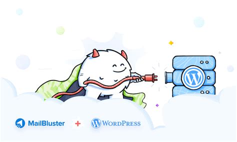 Link Your WordPress Site With Your MailBluster Mailing List