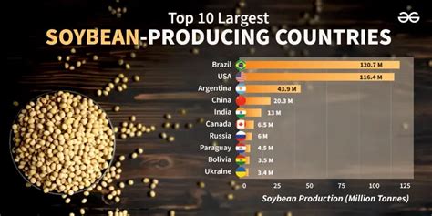 List Of Top 10 Largest Soybean Producing Countries In The World