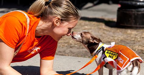 Aspca American Society For The Prevention Of Cruelty To Animals