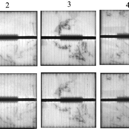 Electroluminescence images of selected series of cells before and after ...