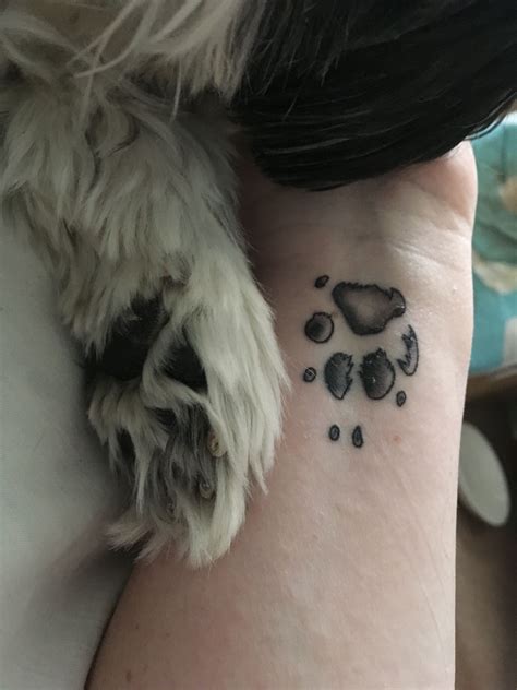 Shih Tzu Dog Tattoo - Shih Tzu Dog