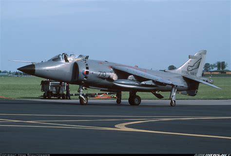 British Aerospace Sea Harrier Frs1 Uk Navy Aviation Photo