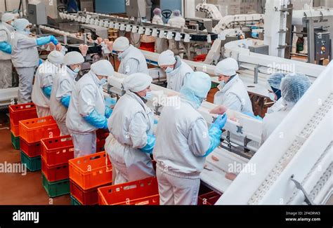 Línea De Producción En La Fábrica De Alimentosfábrica Para La