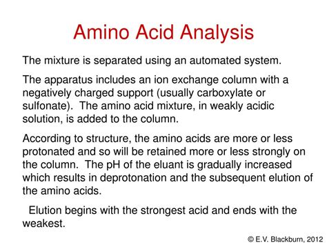 Ppt Amino Acids And Proteins Powerpoint Presentation Free Download Id492382