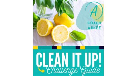 Free Clean It Up Challenge Guide - Freebies, discounts, free samples ...