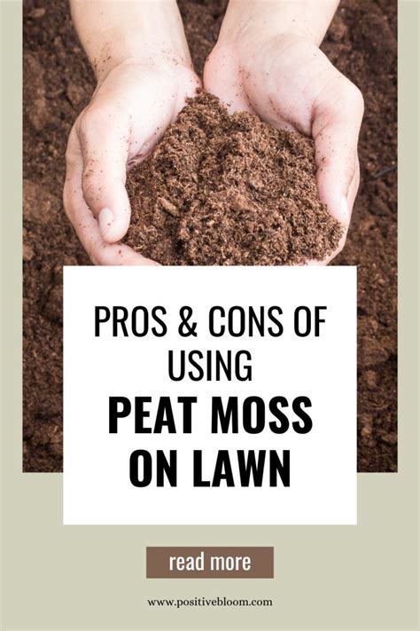 Pros And Cons Of Using Peat Moss On Lawn The Best Methods