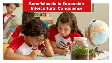 Beneficios de la Educación Intercultural Canadiense Maple Bear Surubi