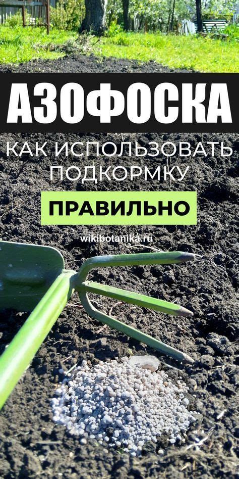 Азофоска. Применение в саду и огороде. Состав в 2024 г | Огород ...