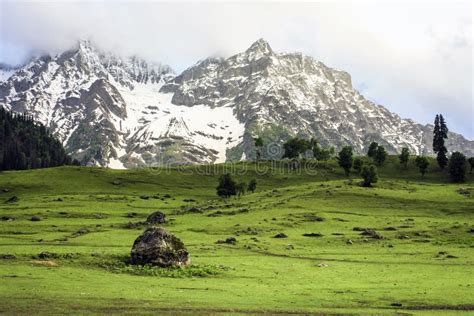 Golden meadows of Sonamarg stock image. Image of activity - 103666161