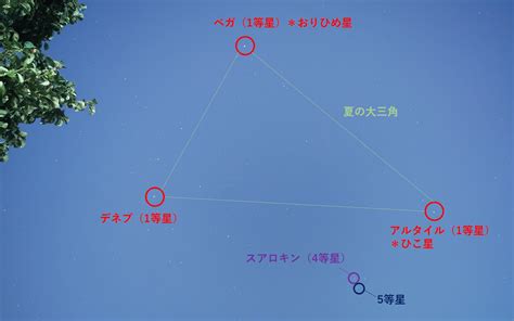 スマホで自由研究「スマホで星空を観察しよう！」 Sharp Blog