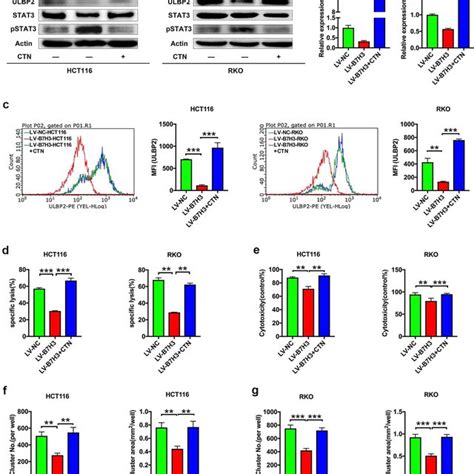 B7 H3 Overexpressing Cc Cells Resist Vδ2 T Cell Mediated Cytotoxicity Download Scientific