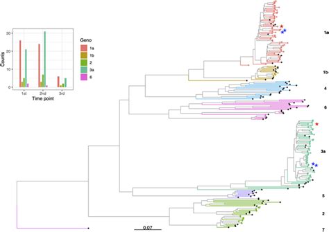 Phylogenetic Tree Of HCV Consensus Sequences And Genotype Counts