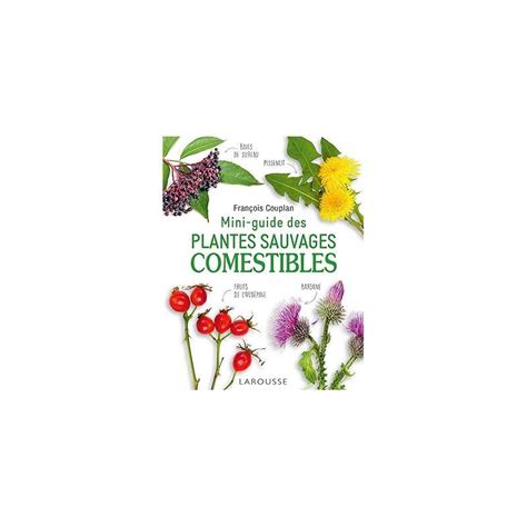 Mini Guide Des Plantes Sauvages Comestibles