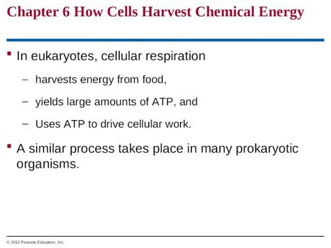 Ppt Chapter 6 How Cells Harvest Chemical Energy In Eukaryotes Cellular Respiration Harvests