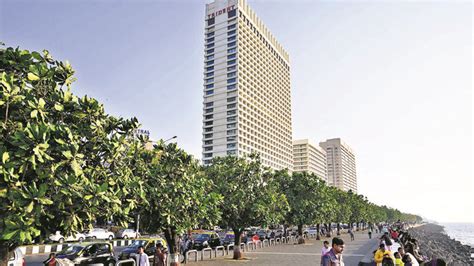 Exclusive: 94 trees to go for Nariman Point-Cuffe Parade sea-link ...