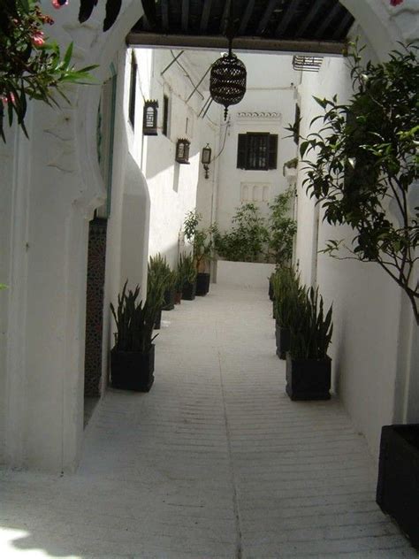 An Alley Way With Potted Plants On Either Side