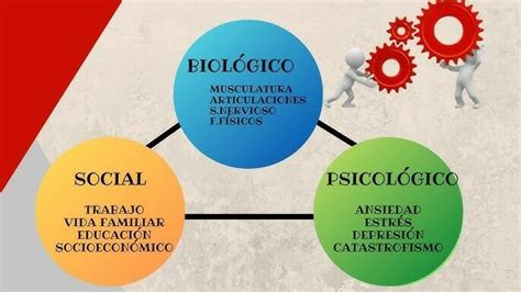 El Ser Humano Y Sus Componentes Esenciales Mind Map