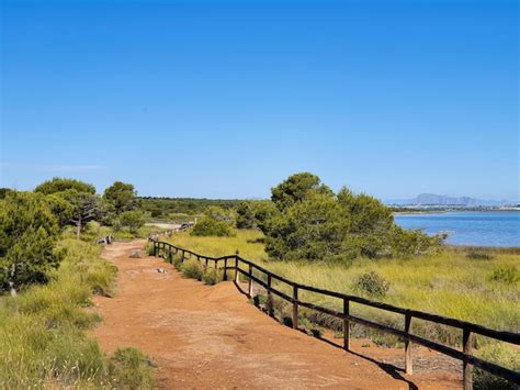 Premium Photo Vega Baja Del Segura El Lago Azul Del Parque Natural De