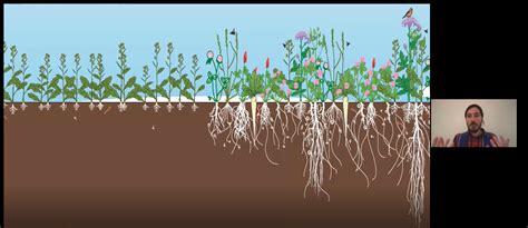 Beneficial Bugs Soil Health WEBinar NACC Northern Agricultural