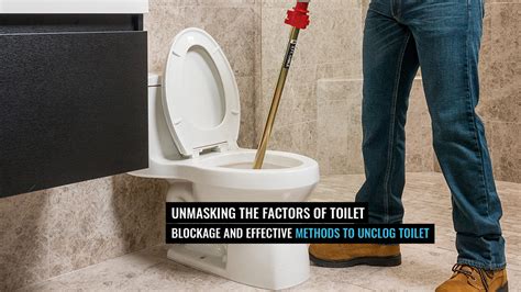 Unclog Toilet Explore The Causes And Effective Methods