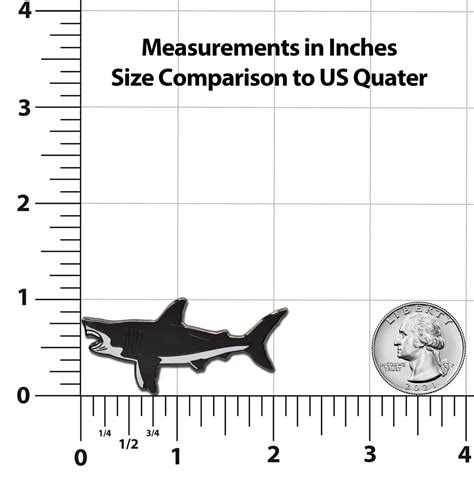 Megalodon Size Chart