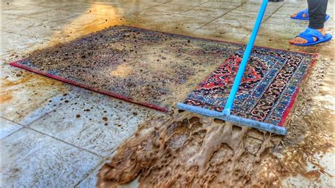 Flooded Hard Dirty Carpet Cleaning Satisfying Rug Cleaning Asmr