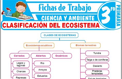 Clasificación Del Ecosistema Para Tercero De Primaria Fichas De Trabajo