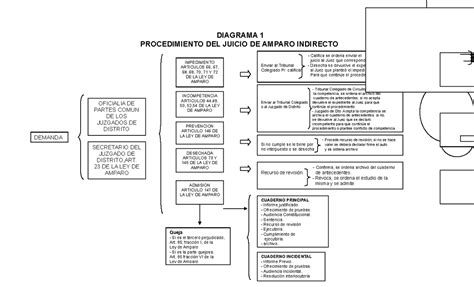 Procedimiento Del Juicio De Amparo Indirecto Diagrama 1 Procedimiento Del Juicio De Amparo