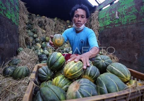 Permintaan Buah Meningkat Saat Ramadhan Antara Foto