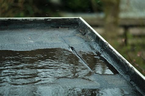 How To Fix A Leaking Flat Roof Atkinson Inspection Services