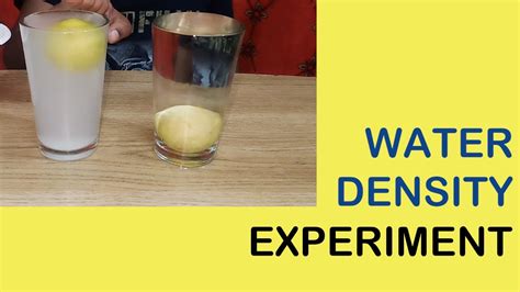 Water Density Experiment With Lemon Youtube