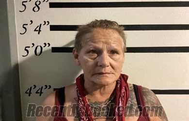 Recent Booking Mugshot For TERESA JORDAN In Sequoyah County Oklahoma