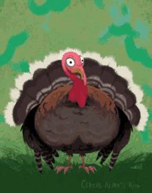 Turkey Gobble Noise GIFs | Tenor