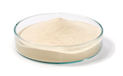 Yeast Extract Agar 500 G Microbiological Dry Culture Media