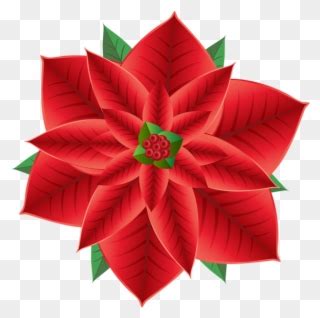 Poinsettia Clipart Png Transparent Png Full Size Clipart