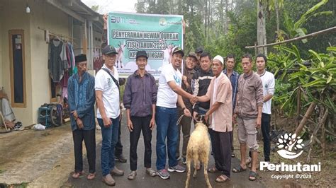 Perhutani Perhutani Kuningan Serahkan Bantuan Tjsl Hewan Kurban Kepada