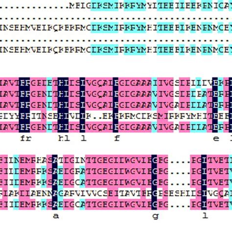 Alignment Of Deduced Amino Acid Sequences Of Chalcone Synthase Chs