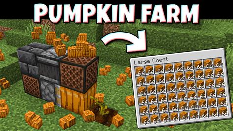 Auto Pumpkin Farm For Minecraft 119 Easy And Compact Farm With Note