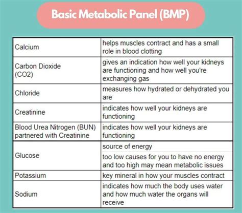 Basic Metabolic Panel Medizzy