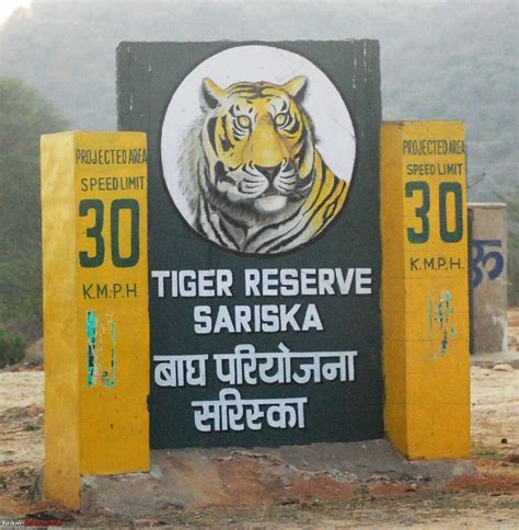 Sariska Tiger Reserve - Tripoto