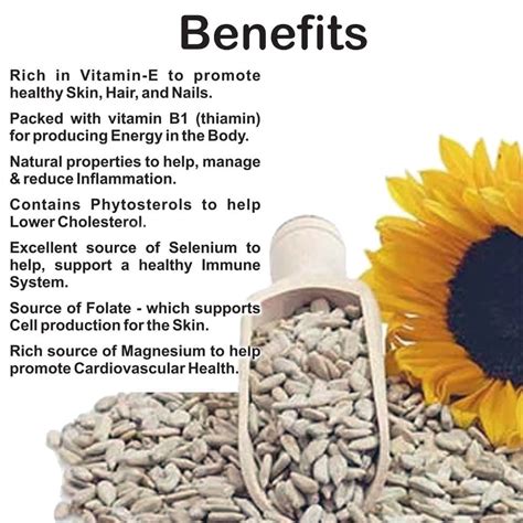 Vitamin E Rich Sunflower Seeds Health Benefits Explained