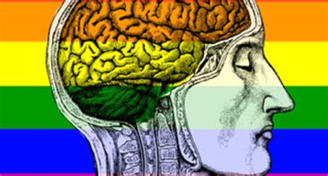 Homofóbicos se excitan con la pornografía gay