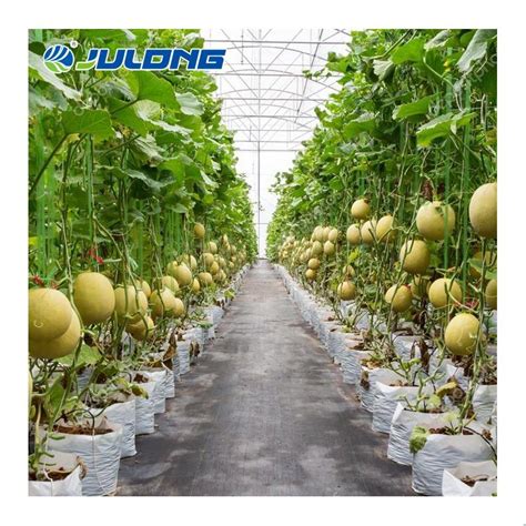 Commercial Agricultural Greenhouse with Hydroponics Gardening System ...