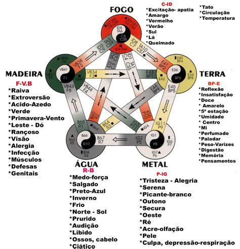 A Filosofia E A Fisiologia Da Medicina Tradicional Chinesa Mtc