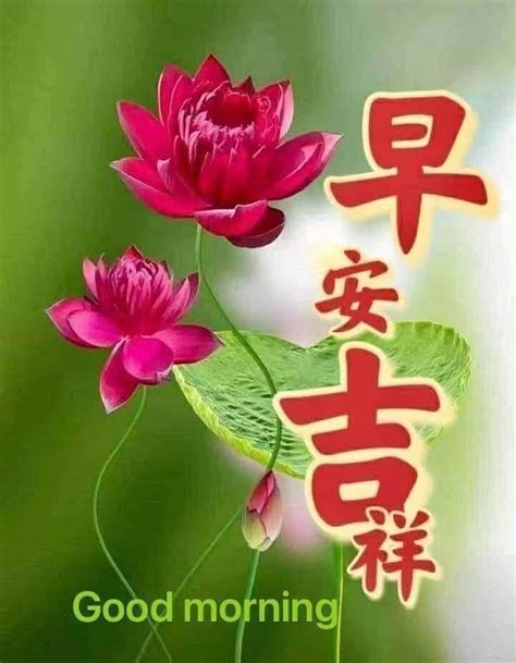 Pin By May On Good Morning Wishes Chinese In Morning Greeting