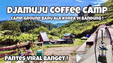 Djamuju Coffee Camp I Viral Camping Ground Ala Korea Di Ciwidey Bandung