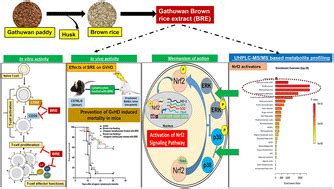 Indian Traditional Rice Variety Gathuwan Suppresses T Cell Mediated