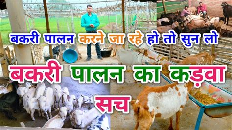 बकरी पालन में फायदा न होने का मुख्य कारण Bakri Palan Kaise Kare